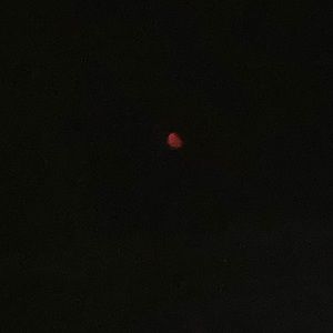 Meet your Posher, Alejandra